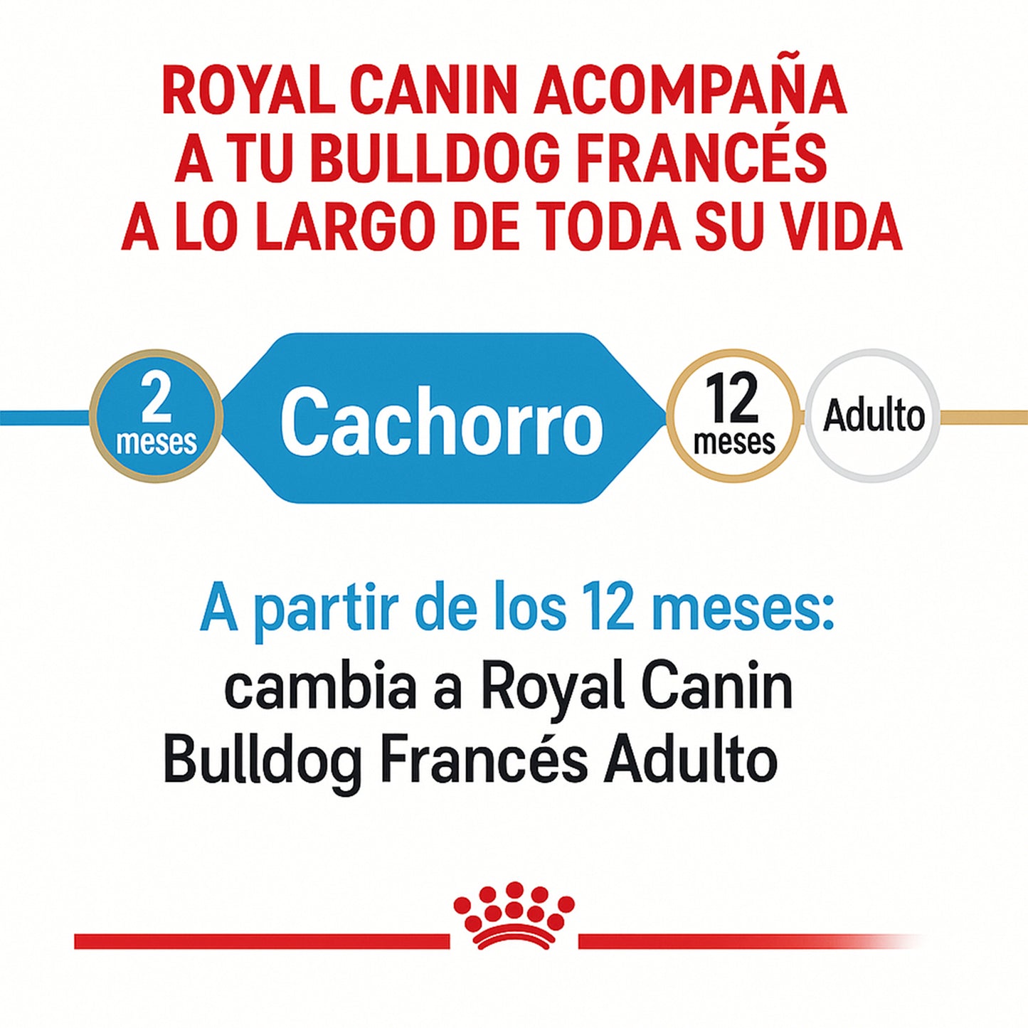 Royal Canin Bulldog Francés Cachorro – 10.5 lb (4.8 kg)