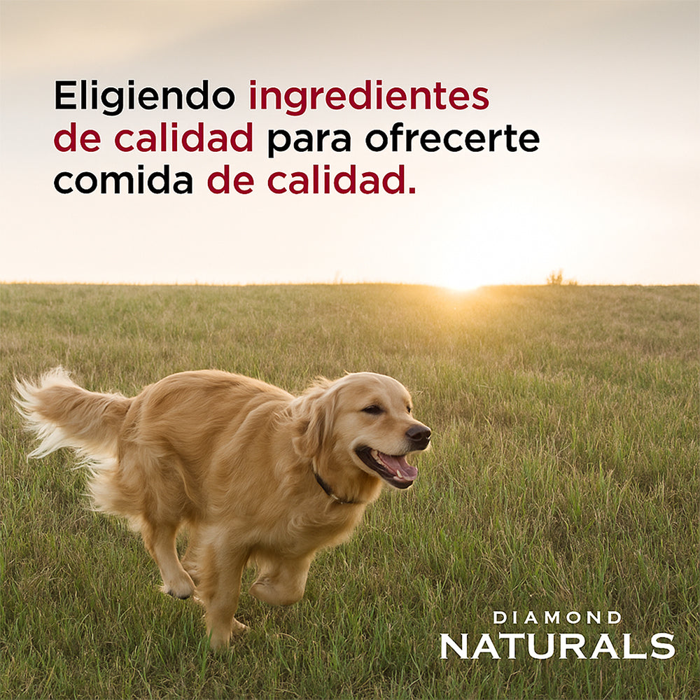 Diamond Naturals Adulto Carne y Arroz - 40 lb (18.1 kg)