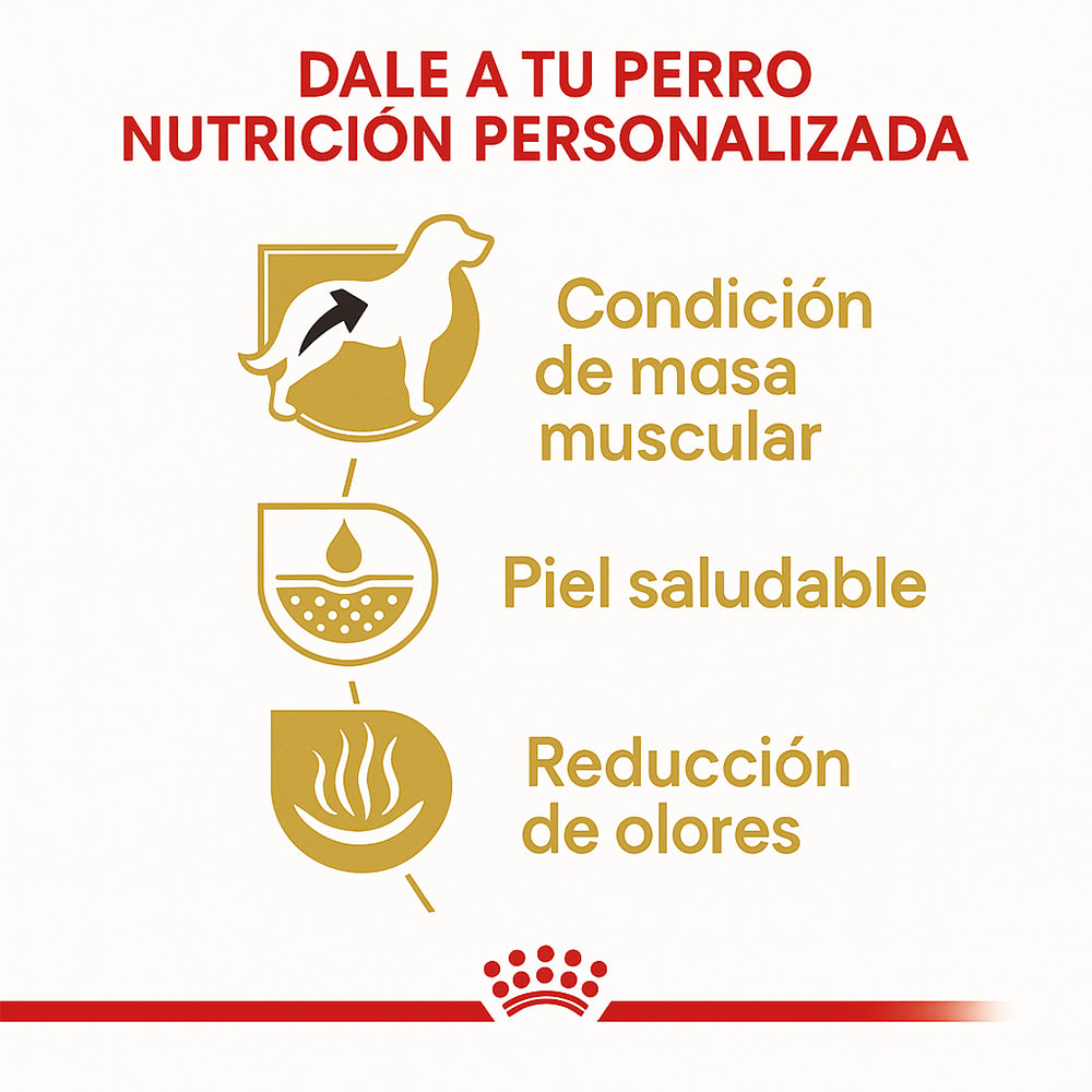 Royal Canin Bulldog Francés Adulto – 30 lb (13.6 kg)