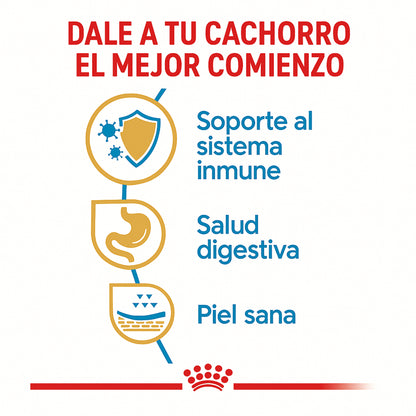 Royal Canin Bulldog Francés Cachorro – 10.5 lb (4.8 kg)