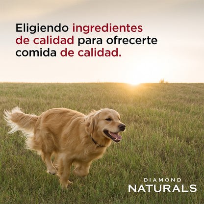 Diamond Naturals Adulto Carne y Arroz - 40 lb (18.1 kg)