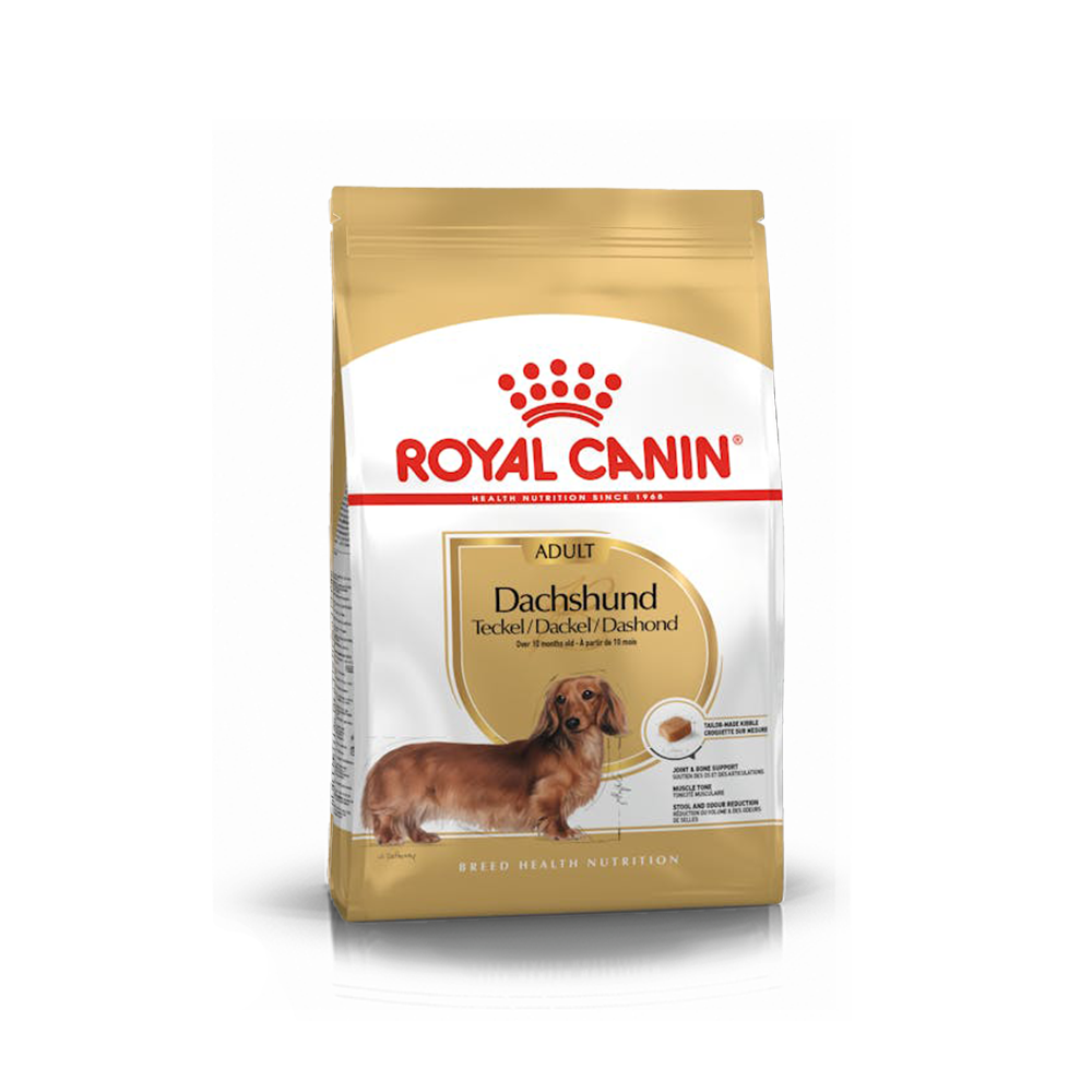 Royal Canin Dachshund (Salchicha) Adulto - 10 lb (4.5 kg)
