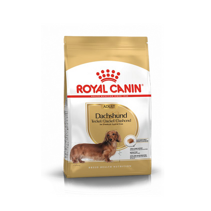 Royal Canin Dachshund (Salchicha) Adulto - 10 lb (4.5 kg)