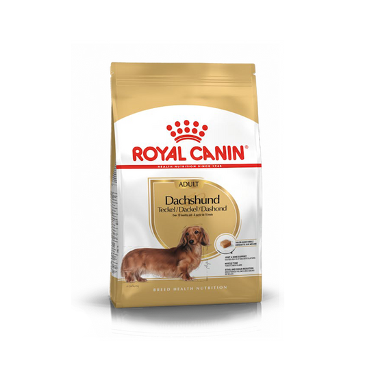 Royal Canin Dachshund (Salchicha) Adulto - 10 lb (4.5 kg)