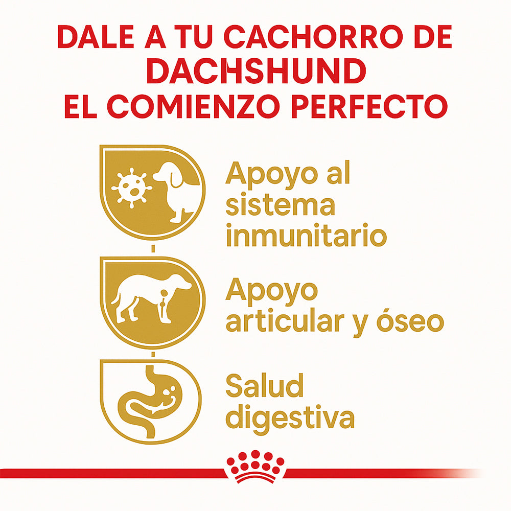 Royal Canin Dachshund (Salchicha) Cachorro - 2.5 lb (1.14 kg)