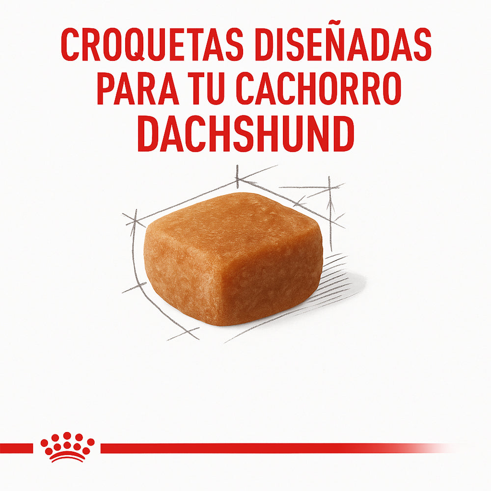 Royal Canin Dachshund (Salchicha) Cachorro - 2.5 lb (1.14 kg)