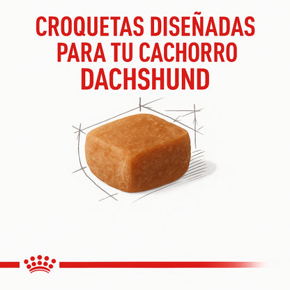 Royal Canin Dachshund (Salchicha) Cachorro - 2.5 lb (1.14 kg)