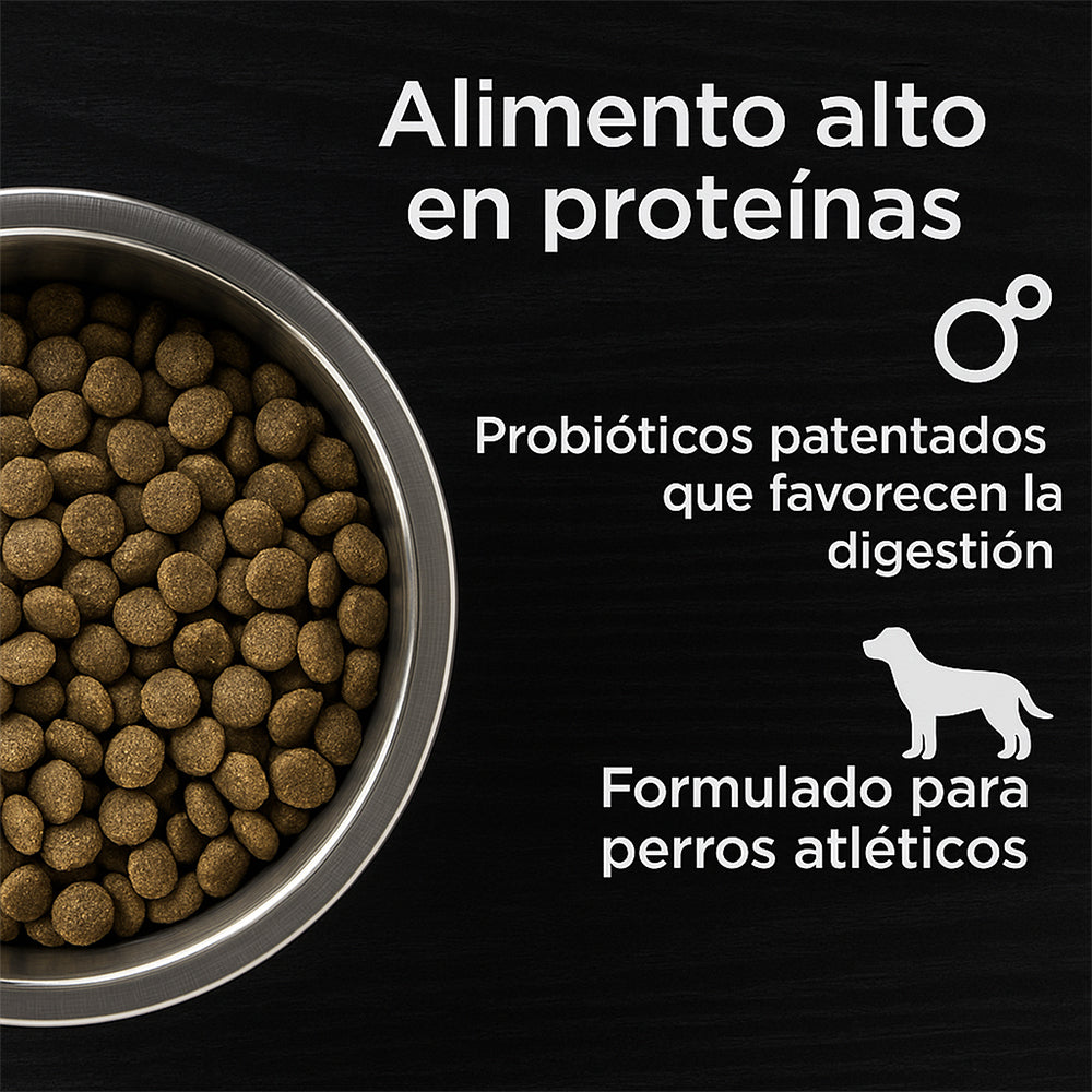 Diamond Naturals Extreme Adulto - 40 lb (18.1 kg)